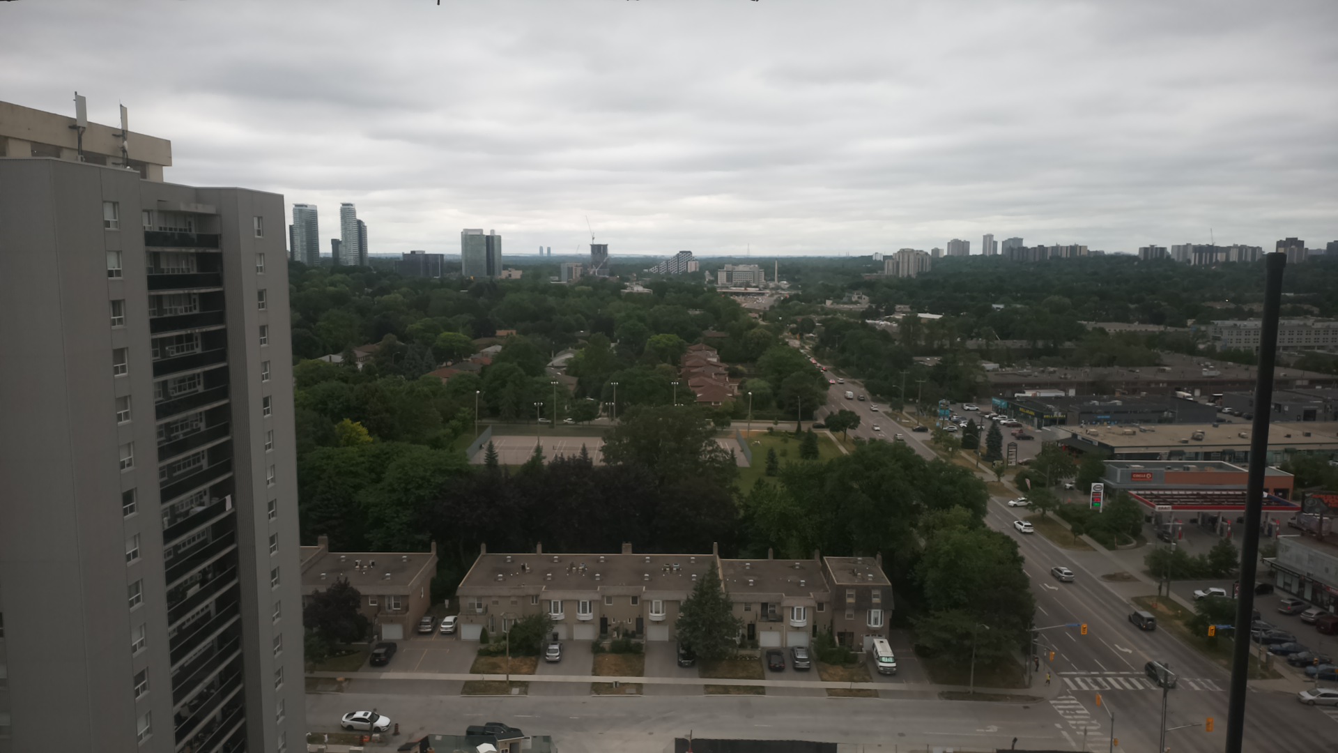 The camera's view at noon in July 2025: overcast, with the trees in full leaf