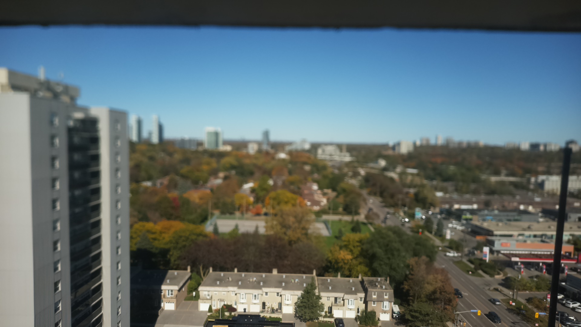 The camera's view at noon in October 2026: autumn colours under a clear sky